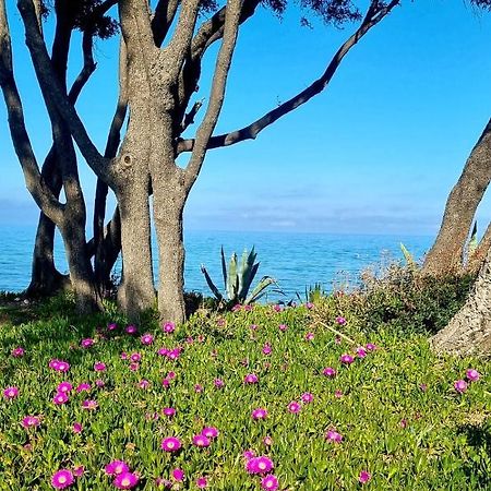 Maison U Nidu A 500M De La Mer Cervione Exteriér fotografie