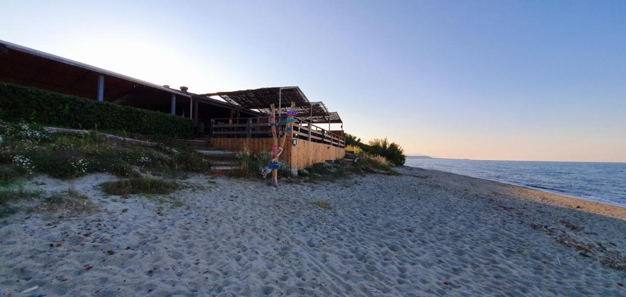 Maison U Nidu A 500M De La Mer Cervione Exteriér fotografie