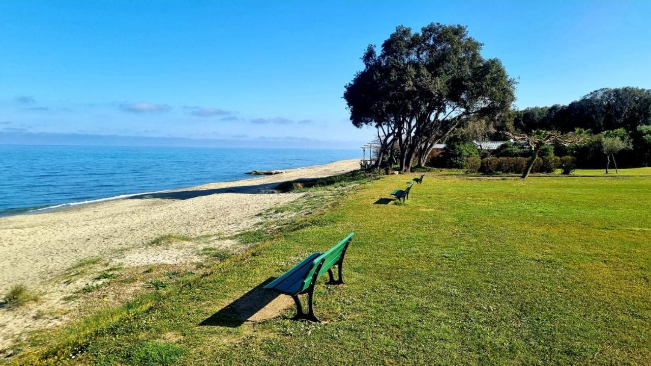 Maison U Nidu A 500M De La Mer Cervione Exteriér fotografie