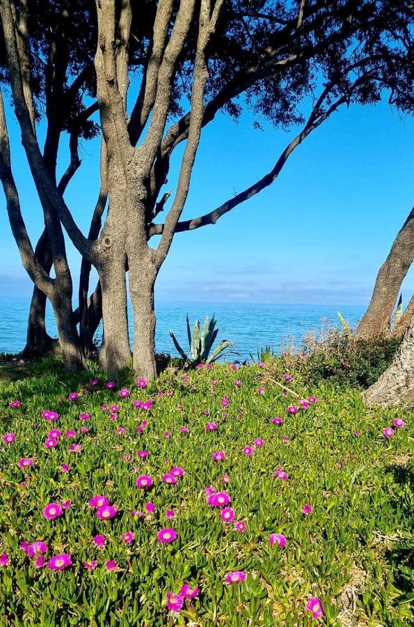 Maison U Nidu A 500M De La Mer Cervione Exteriér fotografie